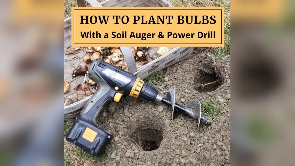 Can You Put A Cordless Drill On Any Auger: Ultimate Compatibility Guide