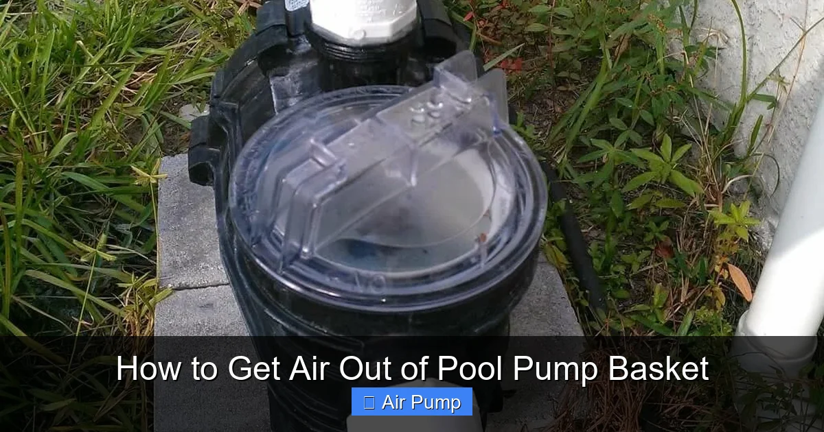 How to Get Air Out of Pool Pump Basket
