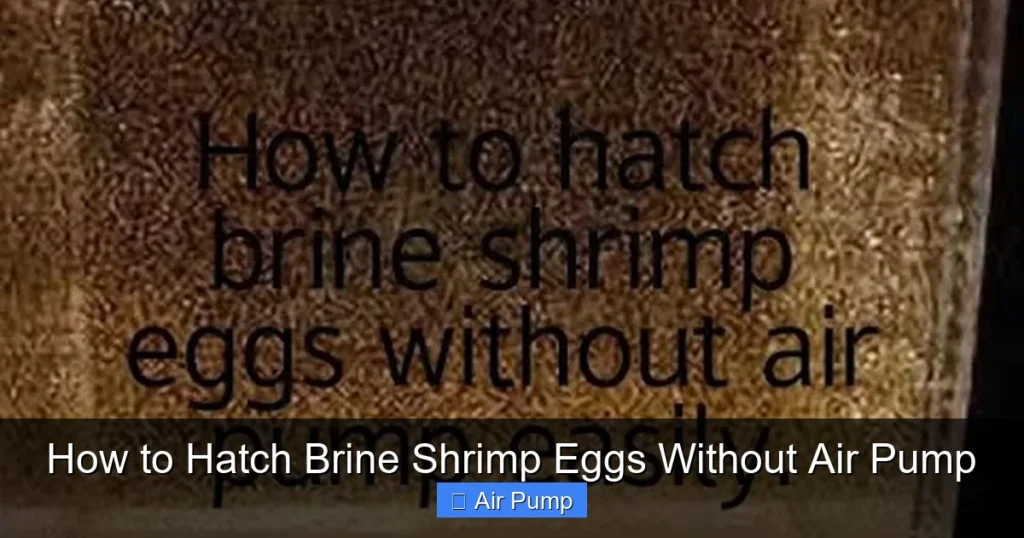How to Hatch Brine Shrimp Eggs Without Air Pump