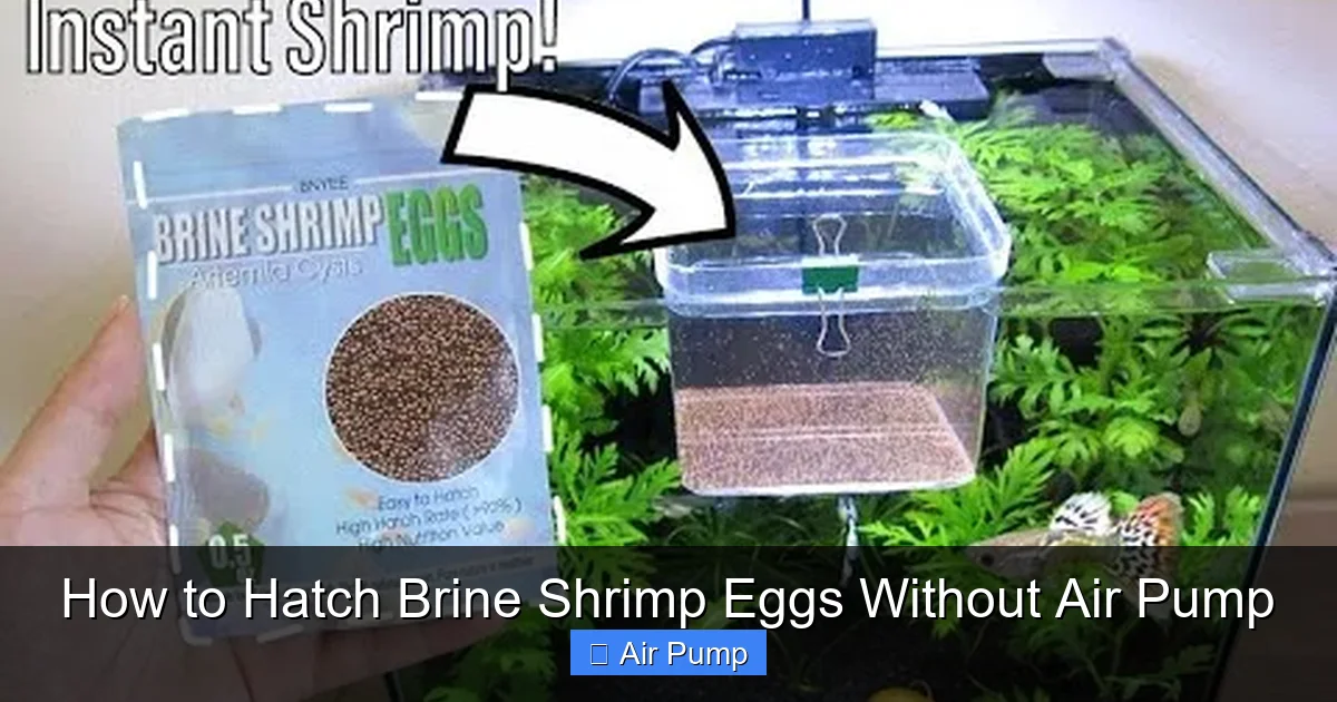 How to Hatch Brine Shrimp Eggs Without Air Pump