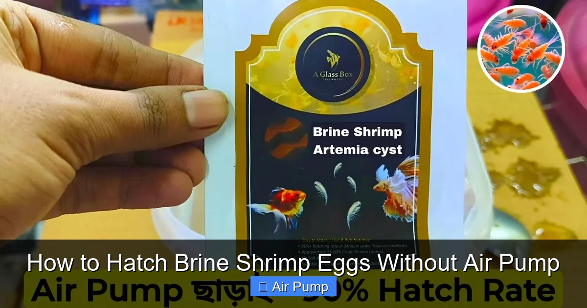 How to Hatch Brine Shrimp Eggs Without Air Pump