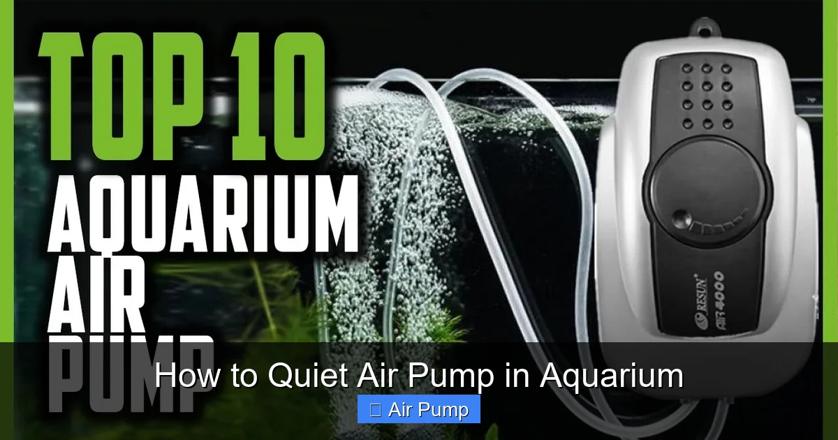 How to Quiet Air Pump in Aquarium