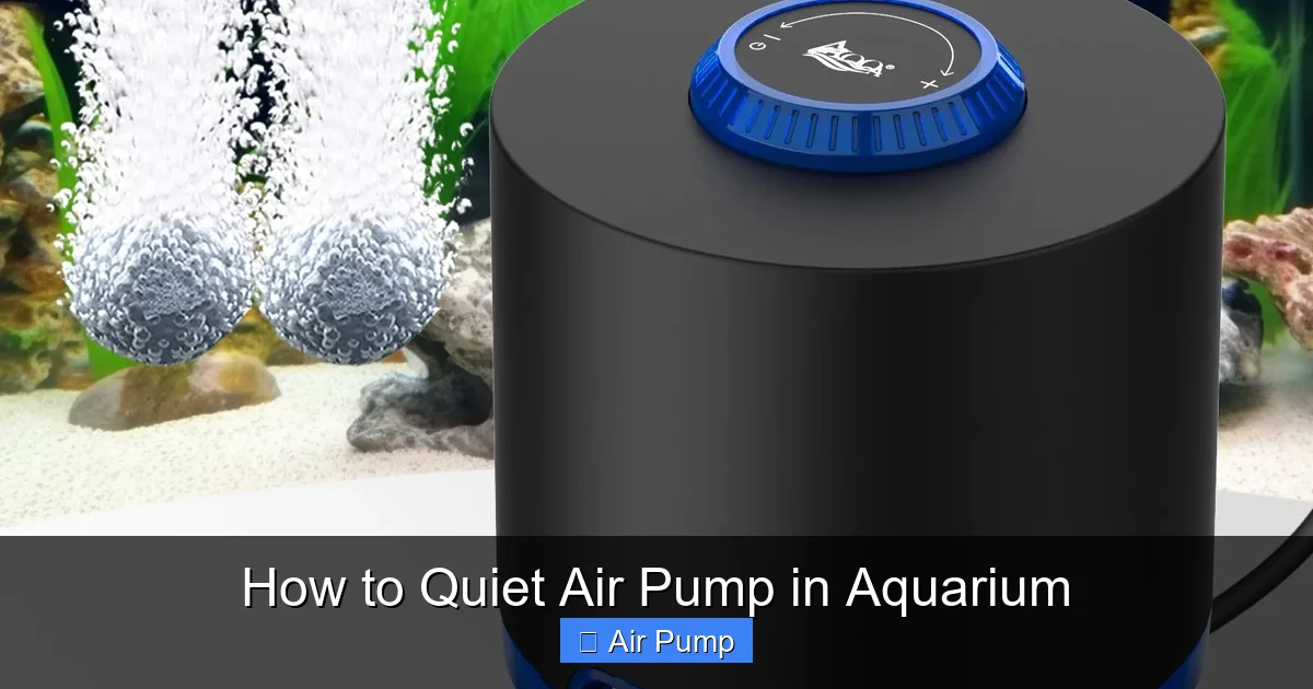 How to Quiet Air Pump in Aquarium