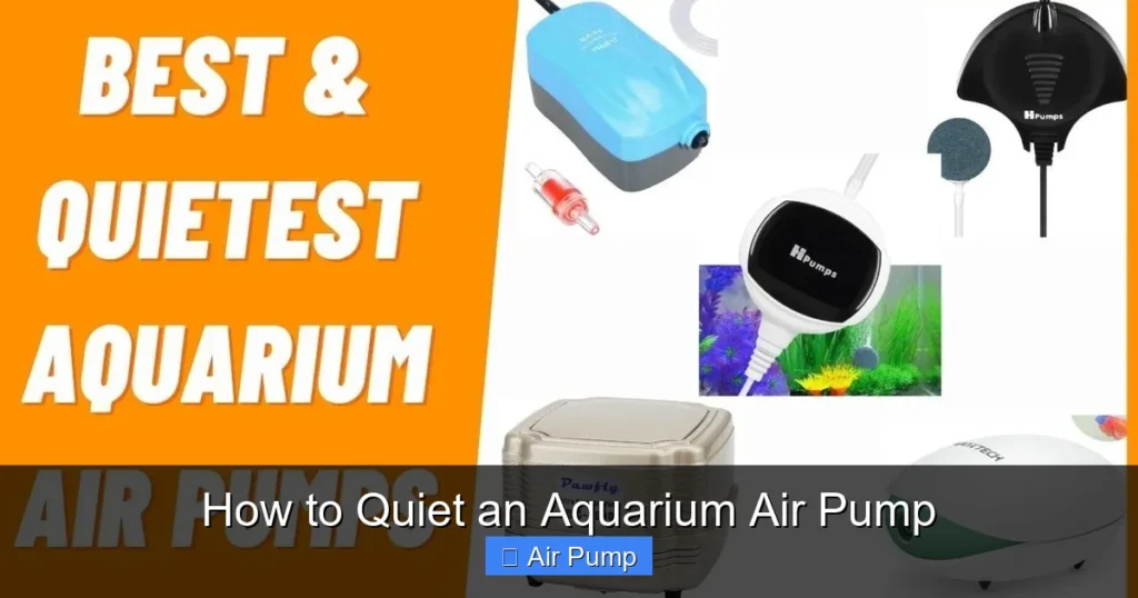 How to Quiet an Aquarium Air Pump