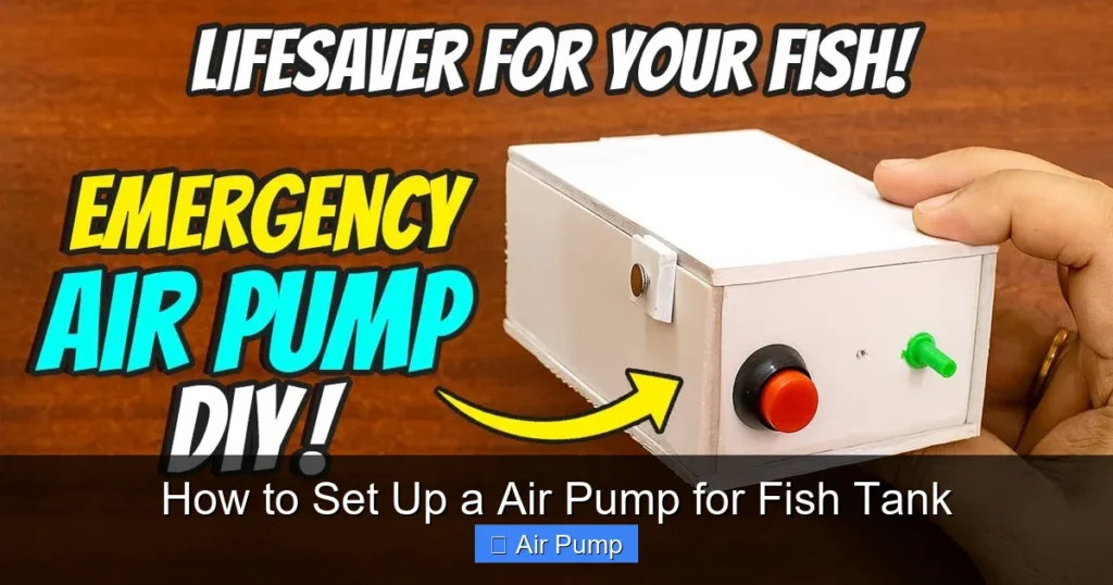 How to Set Up a Air Pump for Fish Tank