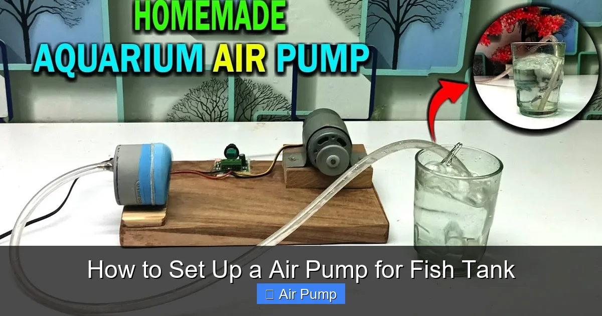 How to Set Up a Air Pump for Fish Tank
