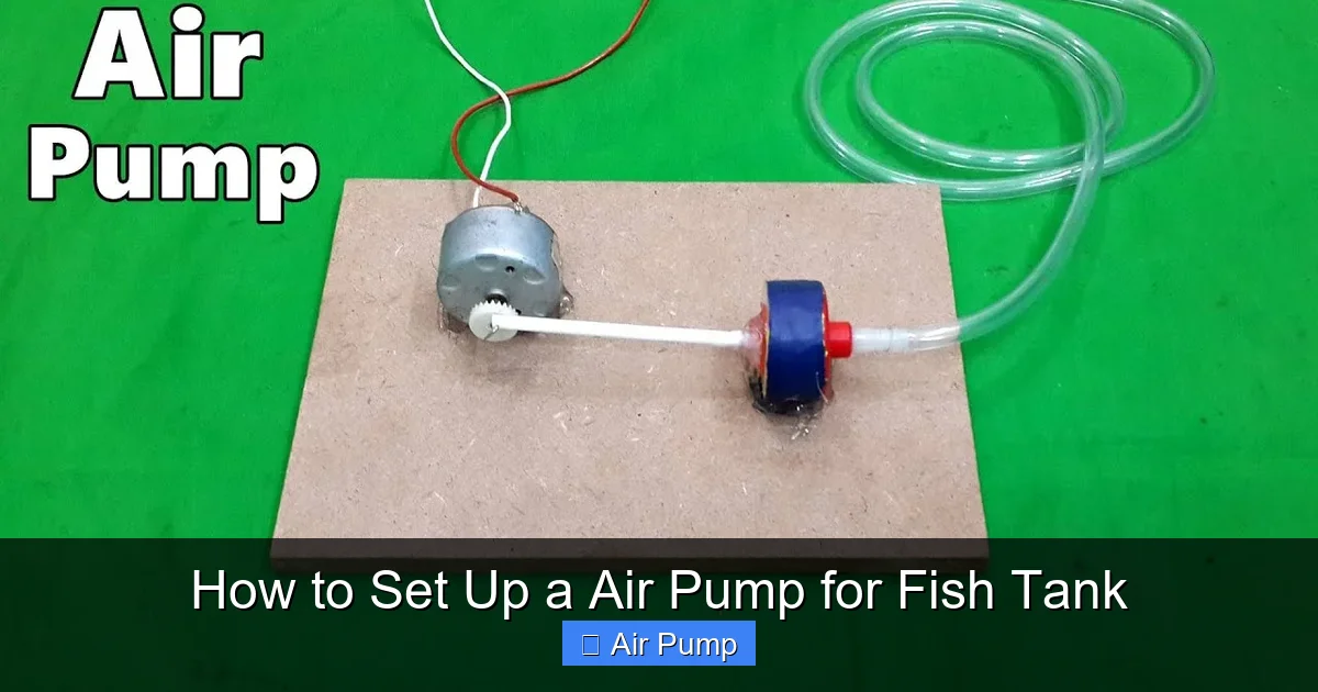 How to Set Up a Air Pump for Fish Tank