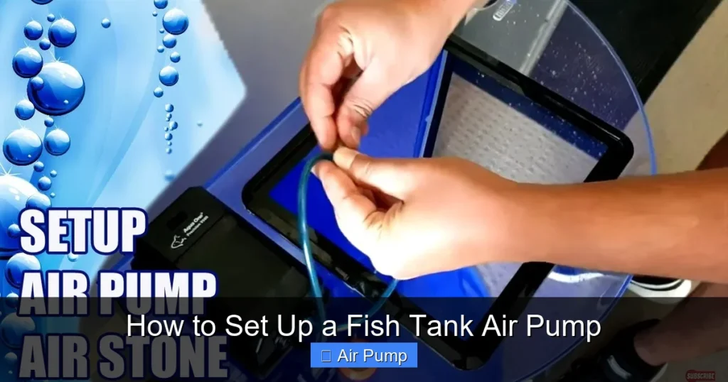How to Set Up a Fish Tank Air Pump How to Set Up a Fish Tank Air Pump