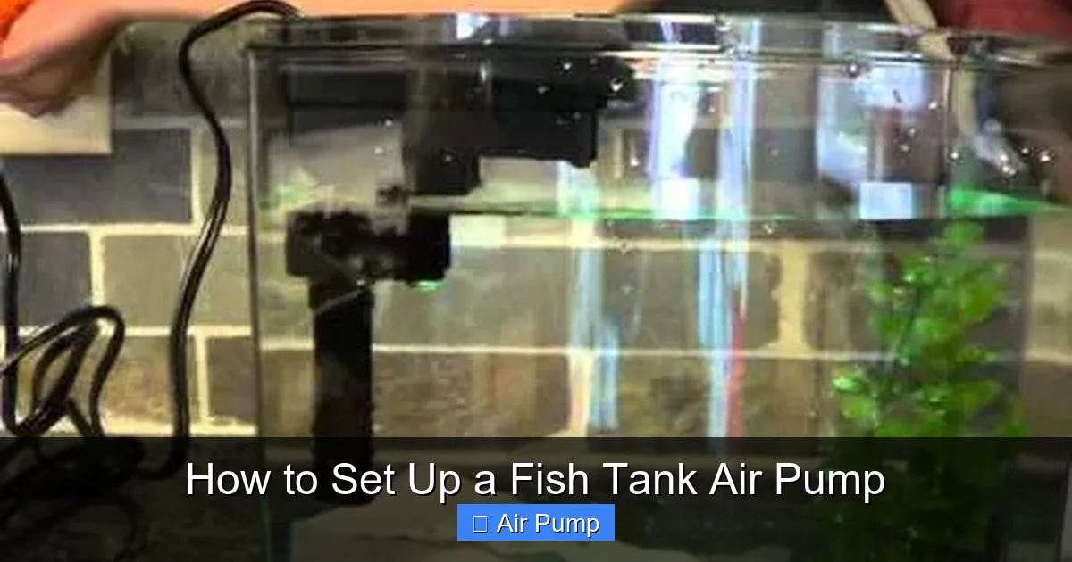 How to Set Up a Fish Tank Air Pump