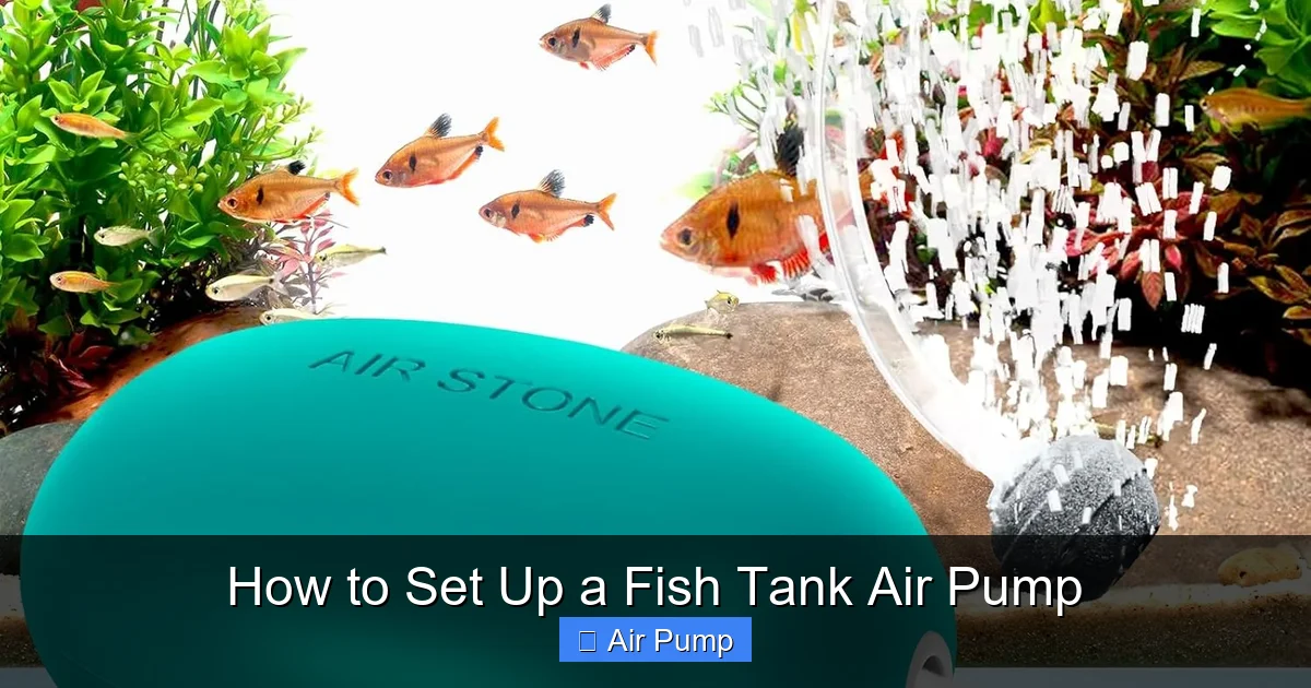 How to Set Up a Fish Tank Air Pump
