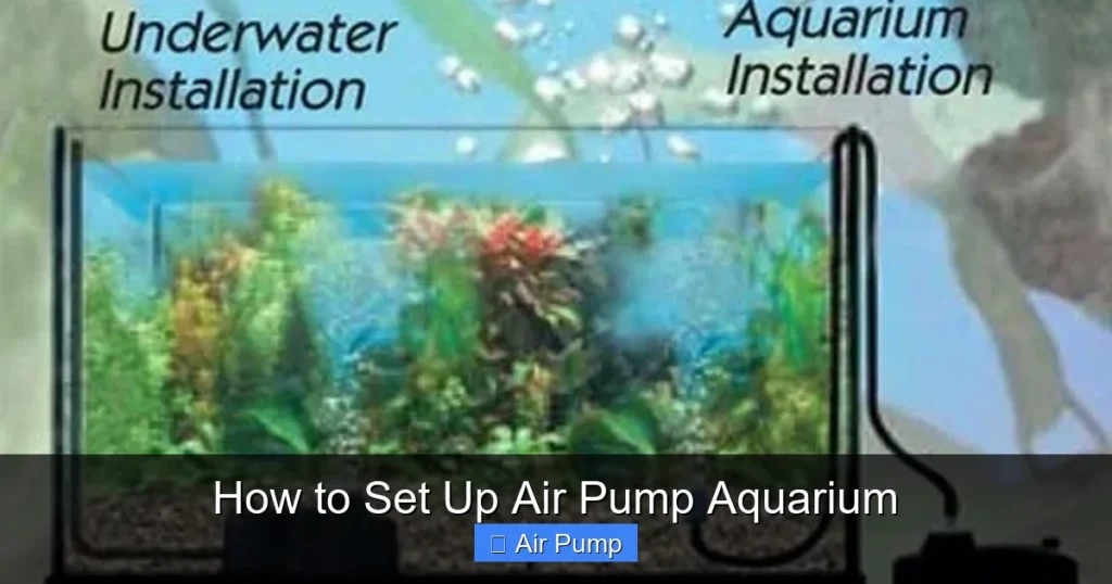 How to Set Up Air Pump Aquarium