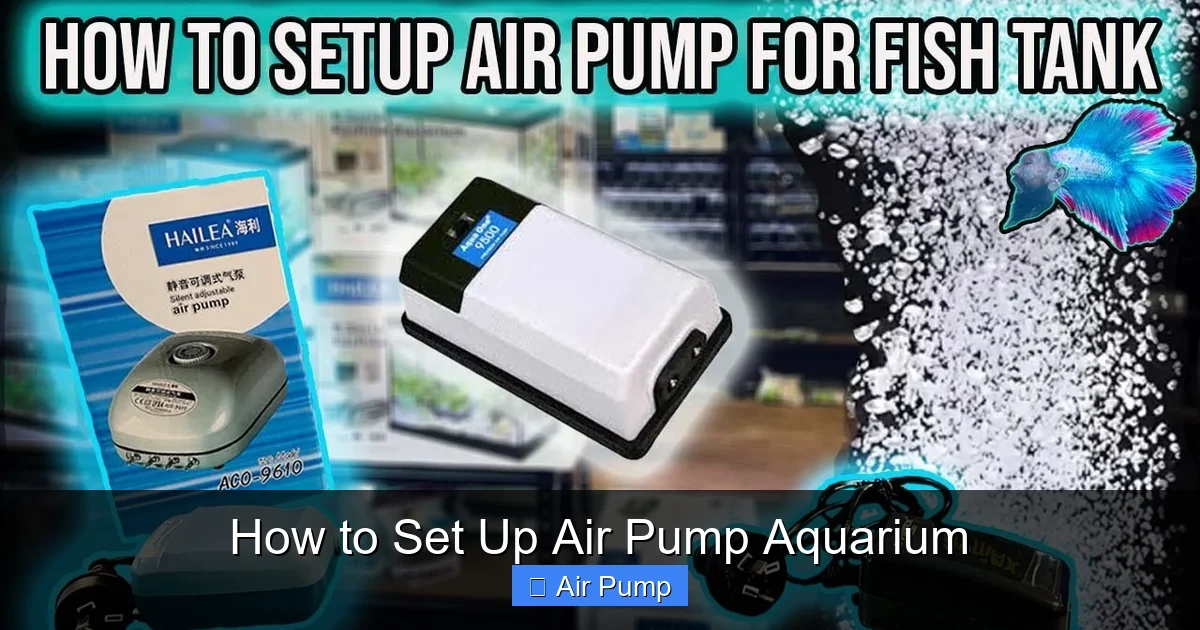 How to Set Up Air Pump Aquarium