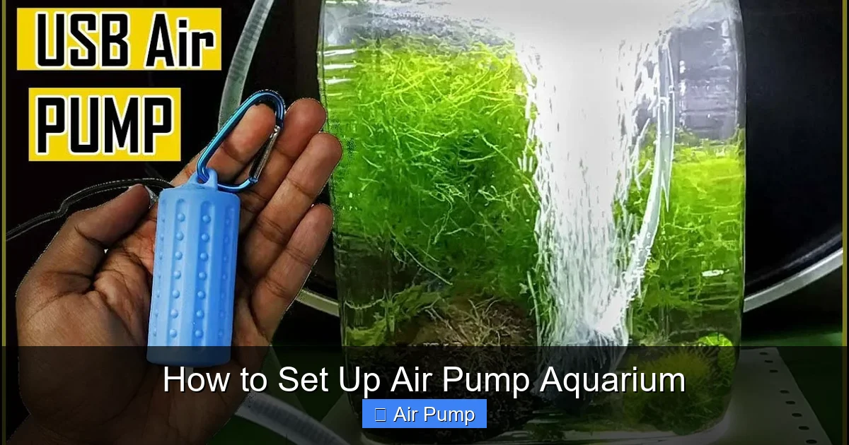 How to Set Up Air Pump Aquarium
