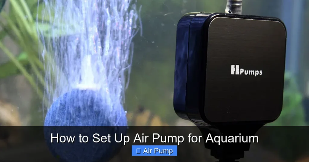 How to Set Up Air Pump for Aquarium How to Set Up Air Pump for Aquarium