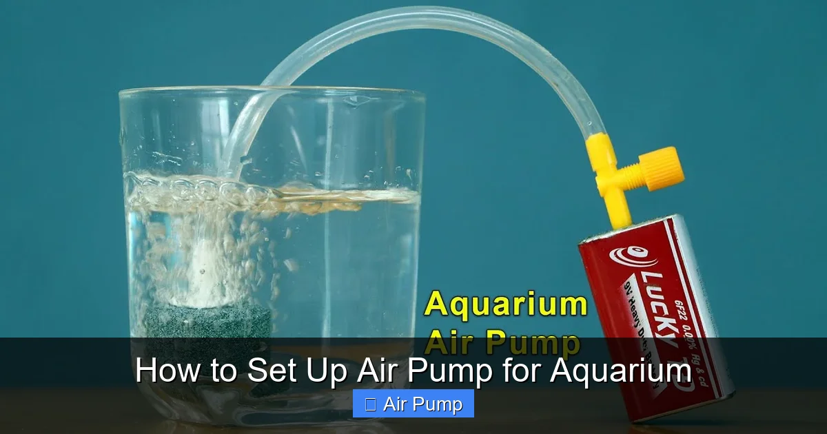 How to Set Up Air Pump for Aquarium