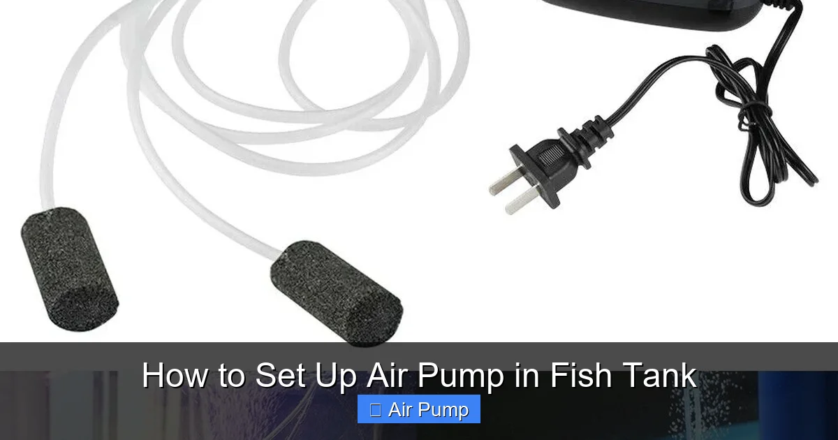 How to Set Up Air Pump in Fish Tank