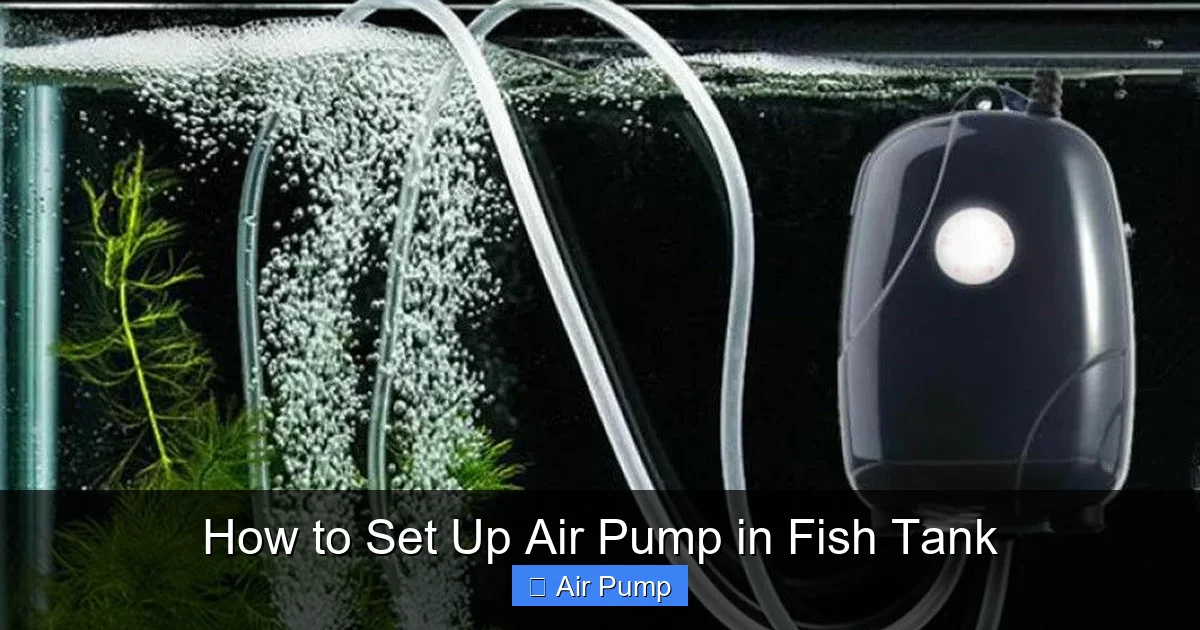 How to Set Up Air Pump in Fish Tank