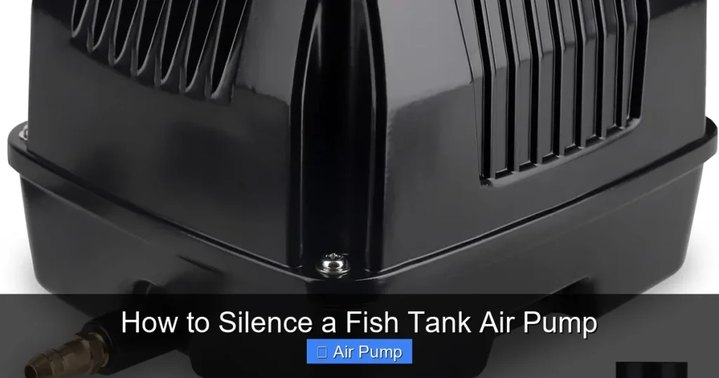 How to Silence a Fish Tank Air Pump