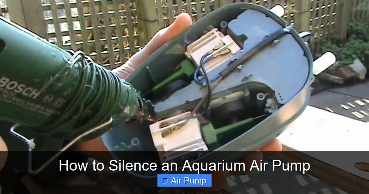 How to Silence an Aquarium Air Pump