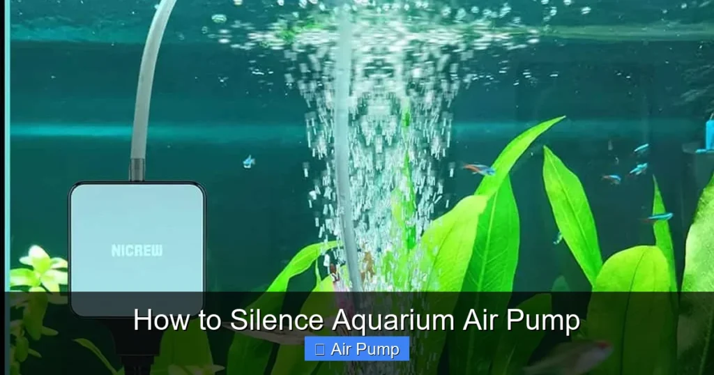 How to Silence Aquarium Air Pump