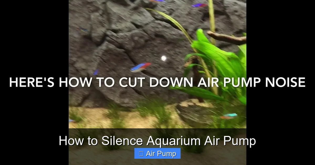 How to Silence Aquarium Air Pump