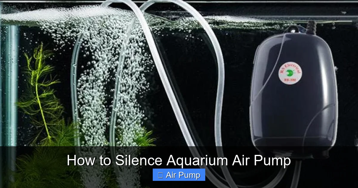 How to Silence Aquarium Air Pump