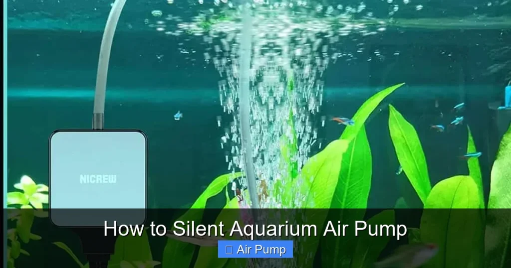 How to Silent Aquarium Air Pump