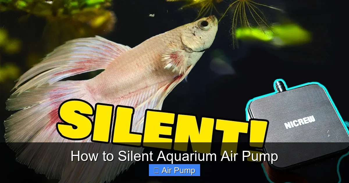 How to Silent Aquarium Air Pump
